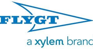 Flygt Pumps - Image 2