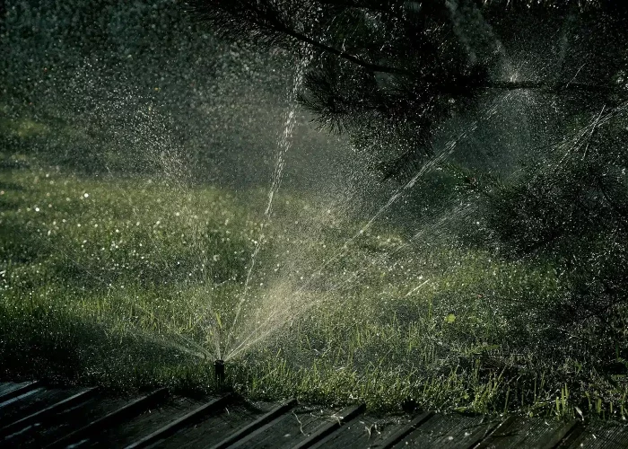 A garden sprinkler in the Midlands, KZN