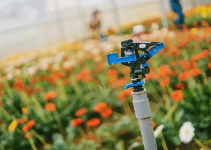 Fine spray from a nursery sprinkler – delivering gentle, consistent irrigation powered by Midlands Pumps’ precision water systems.